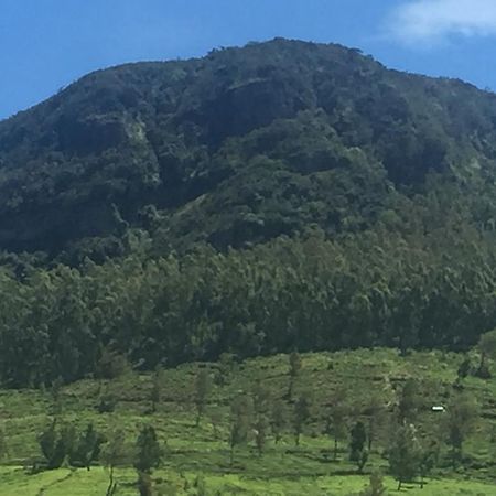Perera Homestay Nuwara Eliya Buitenkant foto